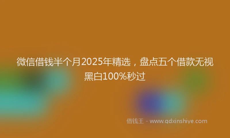微信借钱半个月2025年精选，盘点五个借款无视黑白100%秒过