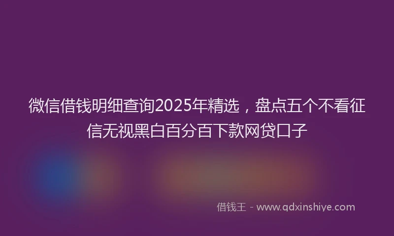 微信借钱明细查询2025年精选，盘点五个不看征信无视黑白百分百下款网贷口子