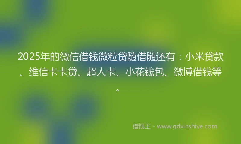2025年的微信借钱微粒贷随借随还有：小米贷款、维信卡卡贷、超人卡、小花钱包、微博借钱等。