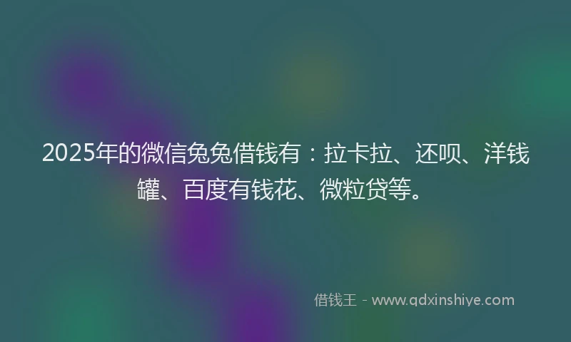 2025年的微信兔兔借钱有：拉卡拉、还呗、洋钱罐、百度有钱花、微粒贷等。