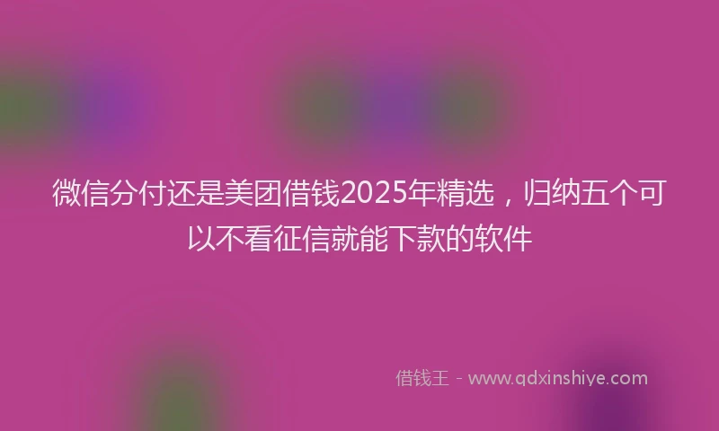微信分付还是美团借钱2025年精选，归纳五个可以不看征信就能下款的软件