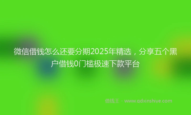 微信借钱怎么还要分期2025年精选，分享五个黑户借钱0门槛极速下款平台