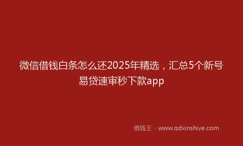 微信借钱白条怎么还2025年精选，汇总5个新号易贷速审秒下款app