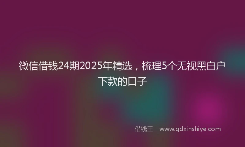 微信借钱24期2025年精选，梳理5个无视黑白户下款的口子