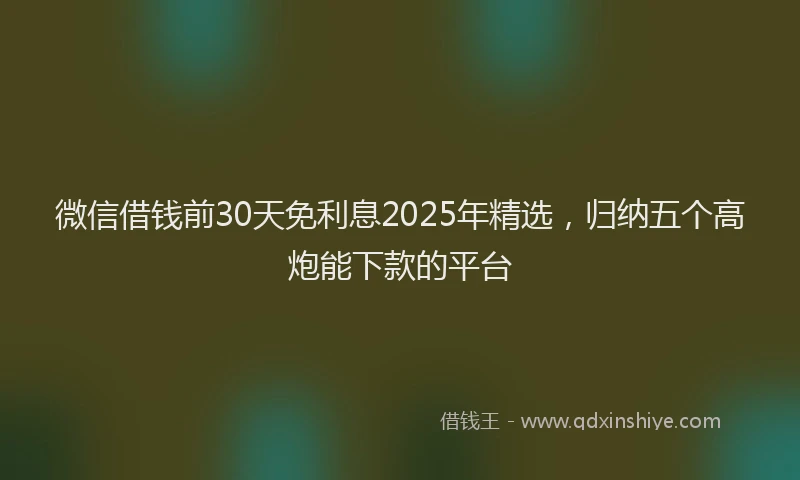 微信借钱前30天免利息2025年精选，归纳五个高炮能下款的平台