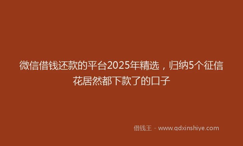 微信借钱还款的平台2025年精选，归纳5个征信花居然都下款了的口子