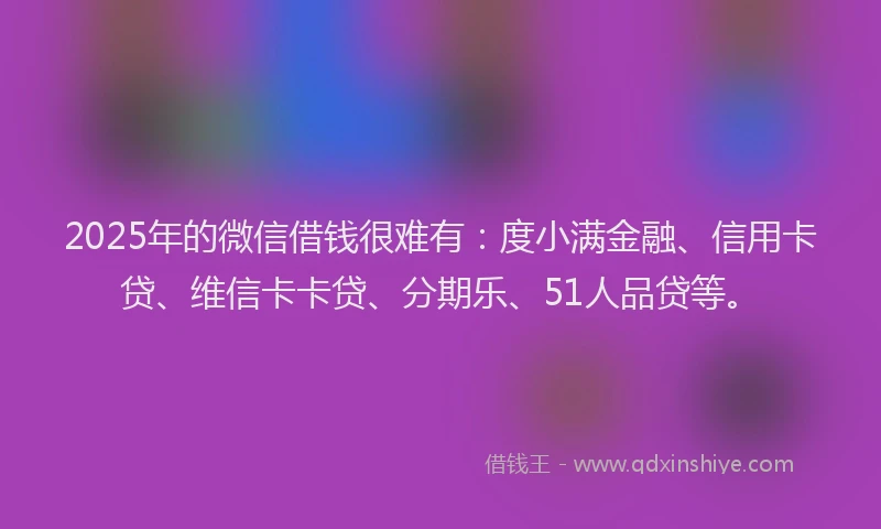 2025年的微信借钱很难有：度小满金融、信用卡贷、维信卡卡贷、分期乐、51人品贷等。