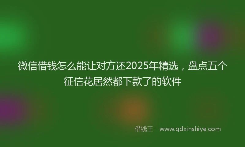 微信借钱怎么能让对方还2025年精选，盘点五个征信花居然都下款了的软件