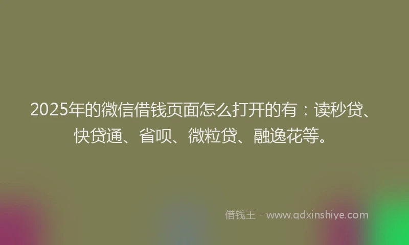 2025年的微信借钱页面怎么打开的有：读秒贷、快贷通、省呗、微粒贷、融逸花等。
