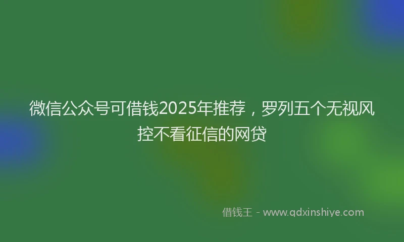微信公众号可借钱2025年推荐，罗列五个无视风控不看征信的网贷