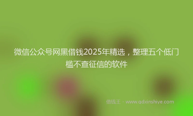 微信公众号网黑借钱2025年精选，整理五个低门槛不查征信的软件