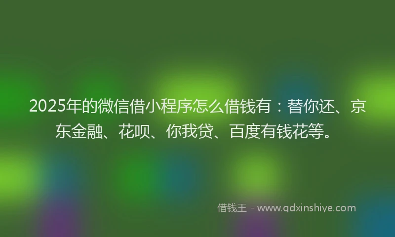 2025年的微信借小程序怎么借钱有：替你还、京东金融、花呗、你我贷、百度有钱花等。