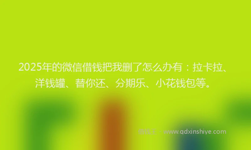 2025年的微信借钱把我删了怎么办有：拉卡拉、洋钱罐、替你还、分期乐、小花钱包等。