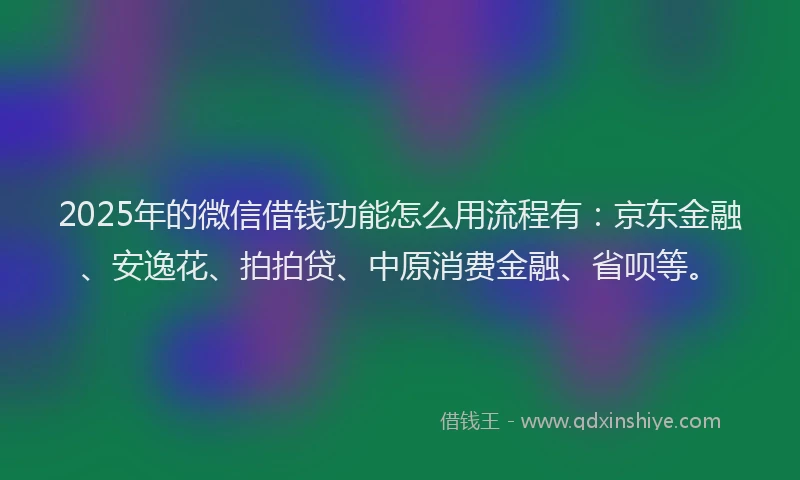 2025年的微信借钱功能怎么用流程有：京东金融、安逸花、拍拍贷、中原消费金融、省呗等。