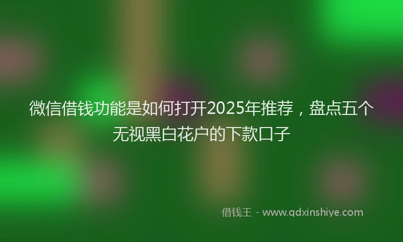微信借钱功能是如何打开2025年推荐，盘点五个无视黑白花户的下款口子