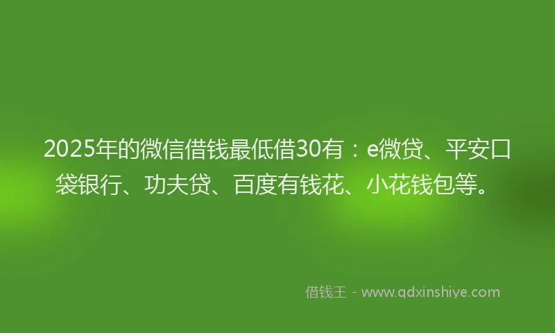 2025年的微信借钱最低借30有：e微贷、平安口袋银行、功夫贷、百度有钱花、小花钱包等。
