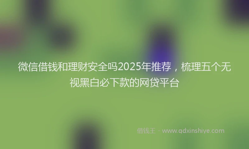 微信借钱和理财安全吗2025年推荐，梳理五个无视黑白必下款的网贷平台