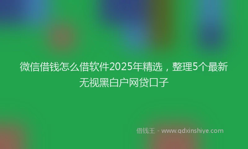 微信借钱怎么借软件2025年精选，整理5个最新无视黑白户网贷口子