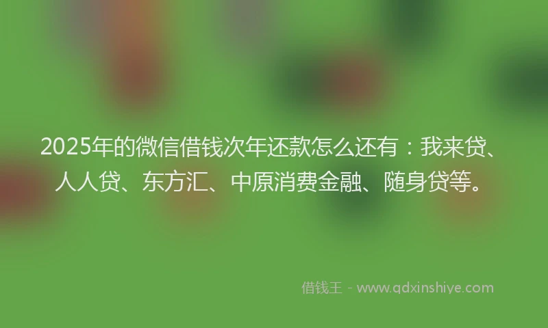 2025年的微信借钱次年还款怎么还有：我来贷、人人贷、东方汇、中原消费金融、随身贷等。
