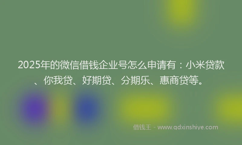 2025年的微信借钱企业号怎么申请有：小米贷款、你我贷、好期贷、分期乐、惠商贷等。