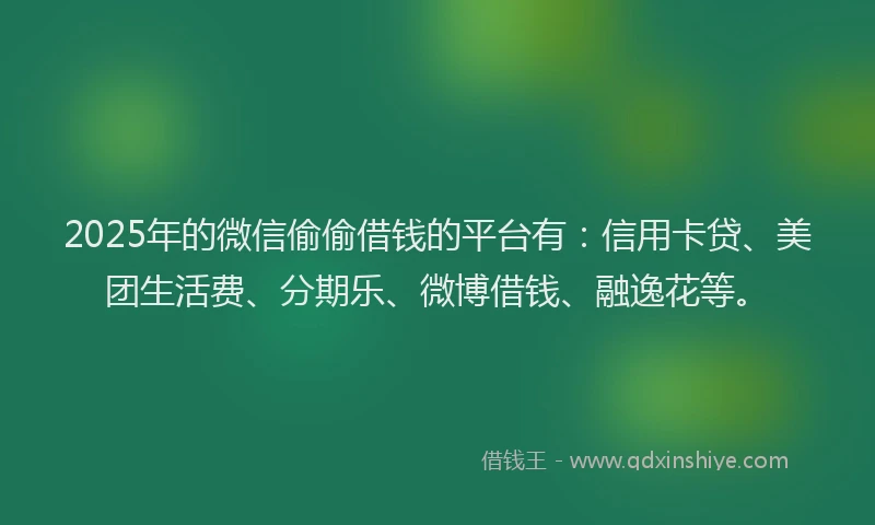 2025年的微信偷偷借钱的平台有：信用卡贷、美团生活费、分期乐、微博借钱、融逸花等。