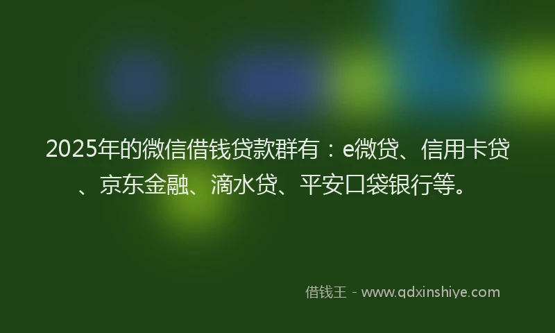 2025年的微信借钱贷款群有：e微贷、信用卡贷、京东金融、滴水贷、平安口袋银行等。
