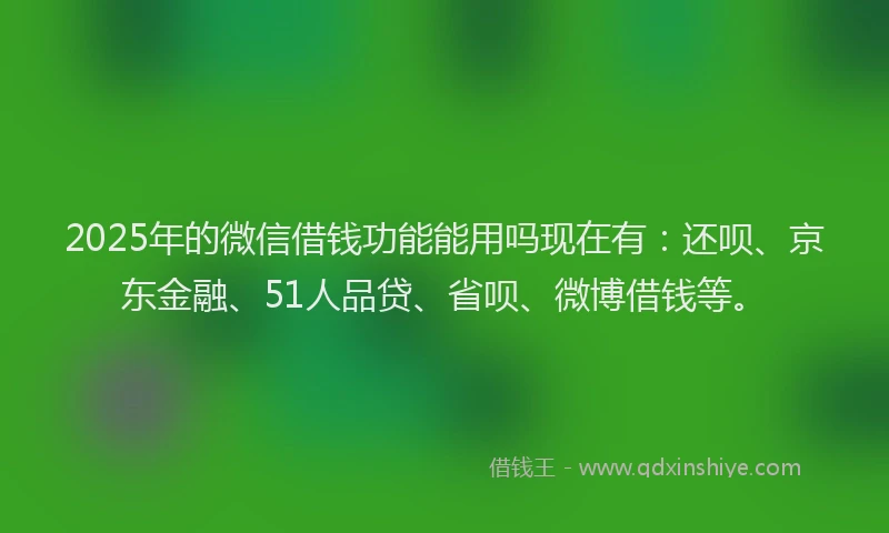 2025年的微信借钱功能能用吗现在有：还呗、京东金融、51人品贷、省呗、微博借钱等。