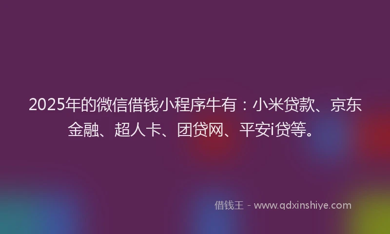 2025年的微信借钱小程序牛有：小米贷款、京东金融、超人卡、团贷网、平安i贷等。