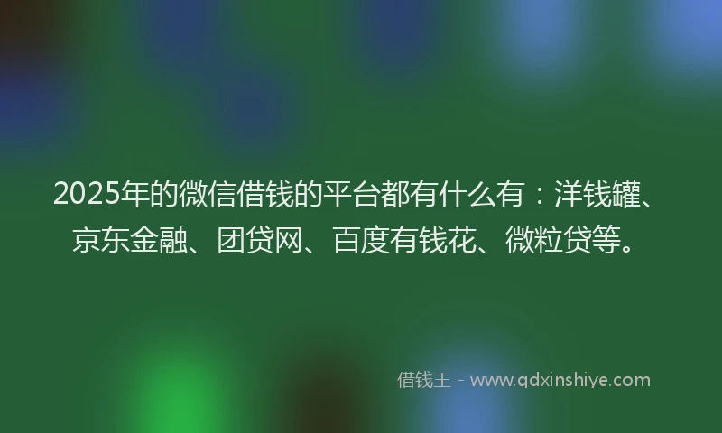 2025年的微信借钱的平台都有什么有：洋钱罐、京东金融、团贷网、百度有钱花、微粒贷等。