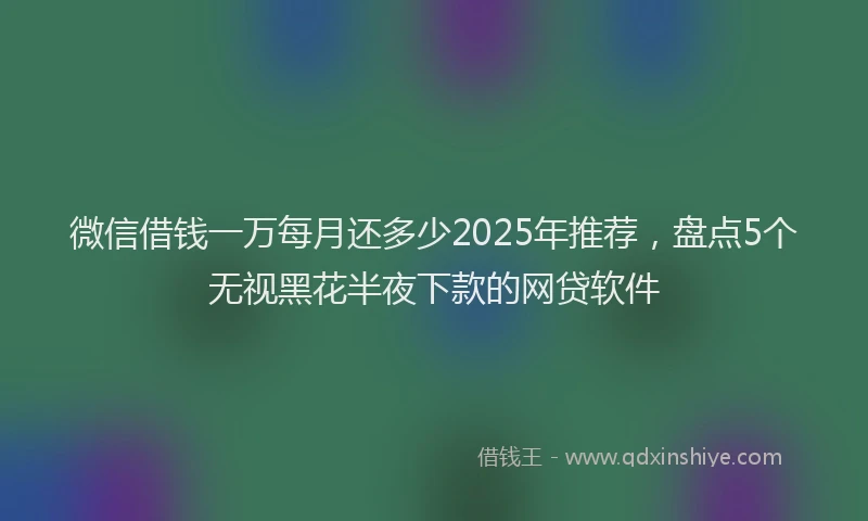 微信借钱一万每月还多少2025年推荐，盘点5个无视黑花半夜下款的网贷软件