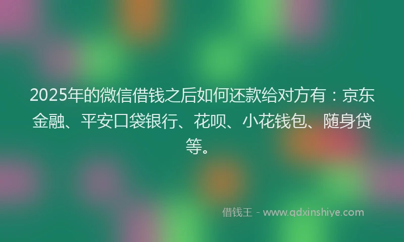2025年的微信借钱之后如何还款给对方有：京东金融、平安口袋银行、花呗、小花钱包、随身贷等。