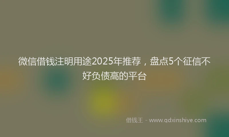 微信借钱注明用途2025年推荐，盘点5个征信不好负债高的平台