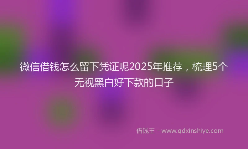 微信借钱怎么留下凭证呢2025年推荐，梳理5个无视黑白好下款的口子