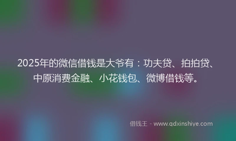 2025年的微信借钱是大爷有：功夫贷、拍拍贷、中原消费金融、小花钱包、微博借钱等。