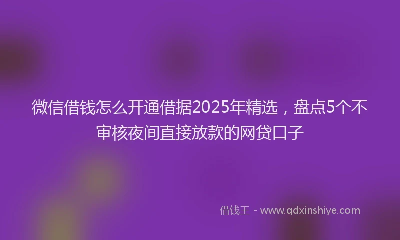 微信借钱怎么开通借据2025年精选，盘点5个不审核夜间直接放款的网贷口子