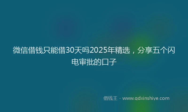 微信借钱只能借30天吗2025年精选，分享五个闪电审批的口子