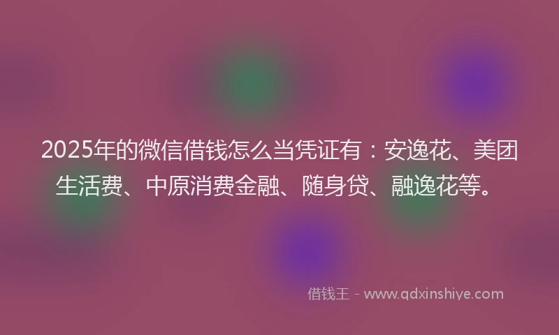 2025年的微信借钱怎么当凭证有：安逸花、美团生活费、中原消费金融、随身贷、融逸花等。