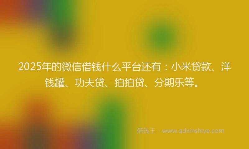 2025年的微信借钱什么平台还有：小米贷款、洋钱罐、功夫贷、拍拍贷、分期乐等。