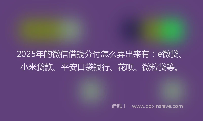 2025年的微信借钱分付怎么弄出来有：e微贷、小米贷款、平安口袋银行、花呗、微粒贷等。