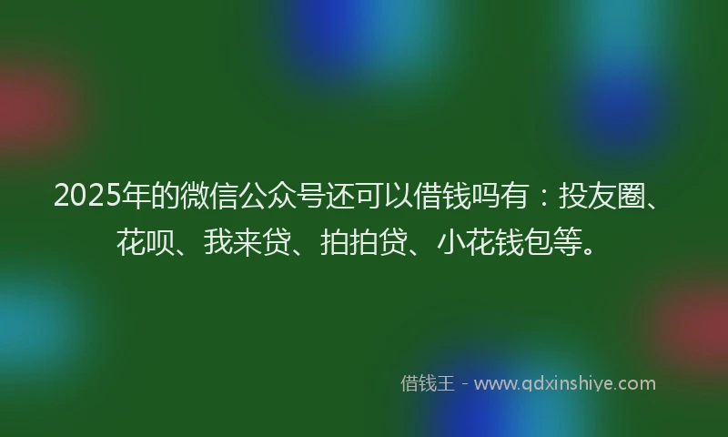 2025年的微信公众号还可以借钱吗有：投友圈、花呗、我来贷、拍拍贷、小花钱包等。