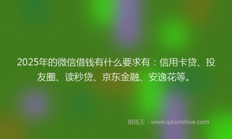 2025年的微信借钱有什么要求有：信用卡贷、投友圈、读秒贷、京东金融、安逸花等。