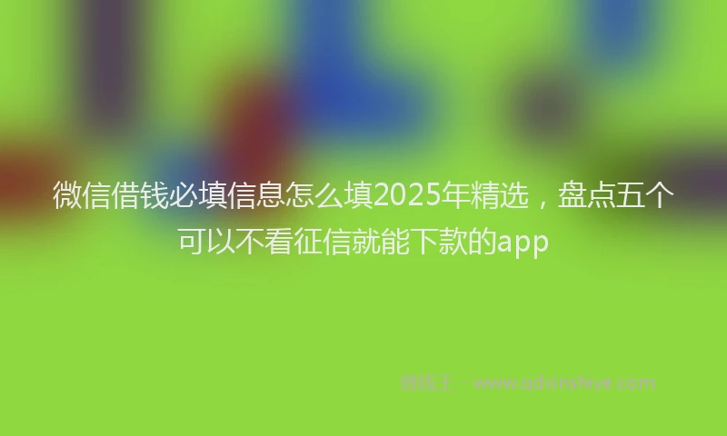微信借钱必填信息怎么填2025年精选，盘点五个可以不看征信就能下款的app