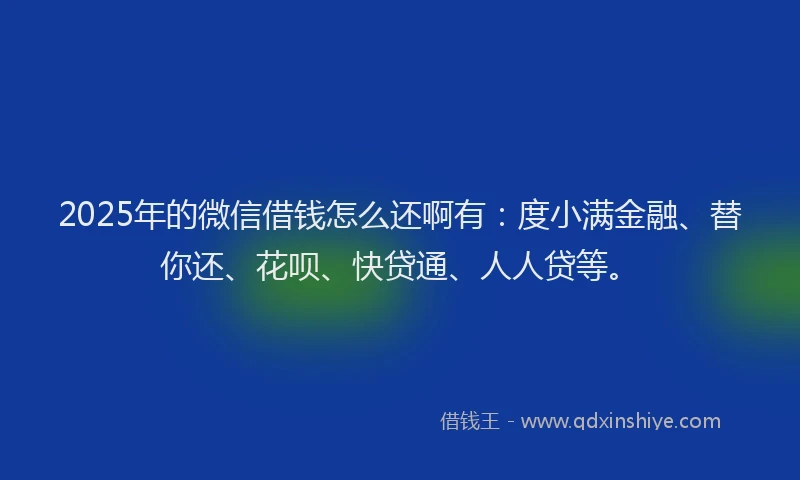 2025年的微信借钱怎么还啊有：度小满金融、替你还、花呗、快贷通、人人贷等。