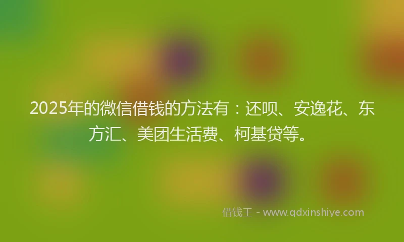 2025年的微信借钱的方法有：还呗、安逸花、东方汇、美团生活费、柯基贷等。