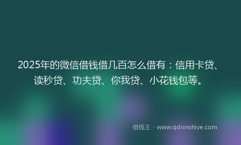 2025年的微信借钱借几百怎么借有：信用卡贷、读秒贷、功夫贷、你我贷、小花钱包等。