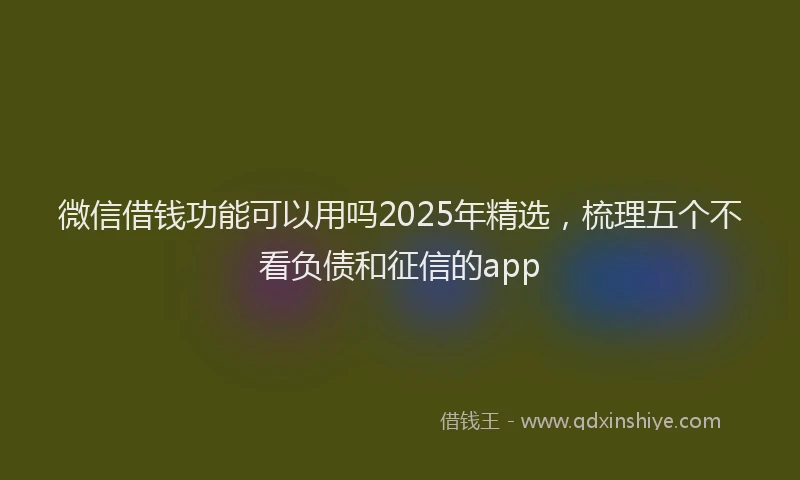 微信借钱功能可以用吗2025年精选，梳理五个不看负债和征信的app