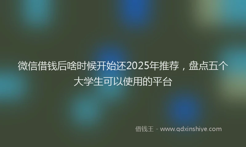 微信借钱后啥时候开始还2025年推荐，盘点五个大学生可以使用的平台