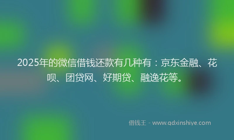 2025年的微信借钱还款有几种有：京东金融、花呗、团贷网、好期贷、融逸花等。