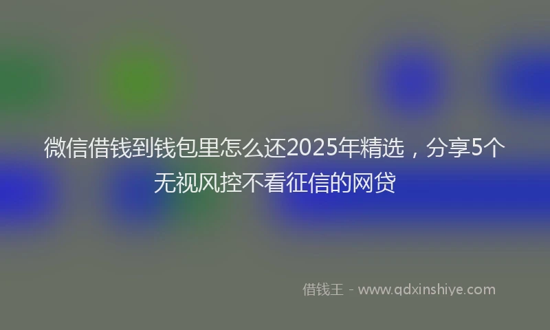 微信借钱到钱包里怎么还2025年精选，分享5个无视风控不看征信的网贷