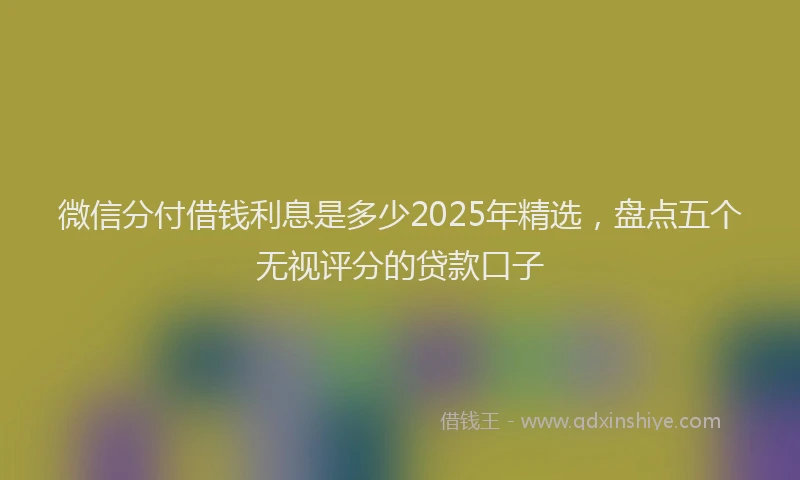 微信分付借钱利息是多少2025年精选，盘点五个无视评分的贷款口子